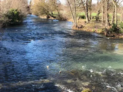 a stream of water with rocks in it at Les Oliviers- Bed and Breakfast in Velleron