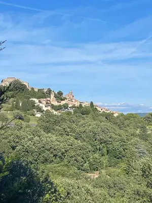 a house on top of a hill with trees at Le cabanon in Saint-Martin-de-Castillon