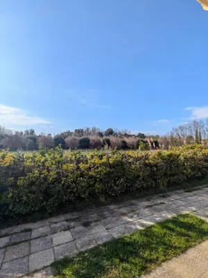 a hedge in front of a field of flowers at Villa Papillon in Monteux