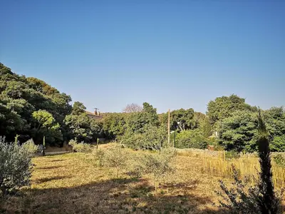 a grassy field with trees in the background at Petit mas en Provence in Cornillon-Confoux