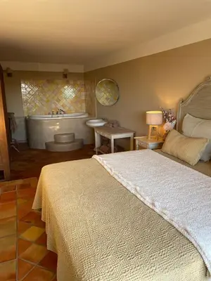 a bedroom with a large bed and a bath tub at La Maison du village in Pierrevert