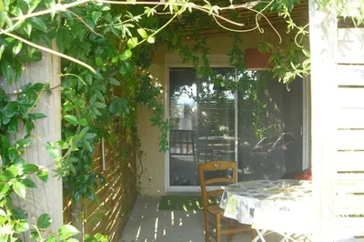 a table and a chair on a patio with vines at Lou mas li Pitchoun 
