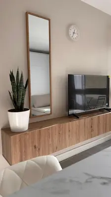 a mirror and a potted plant on a shelf with a tv at Slux Studio 399 in Aix-en-Provence