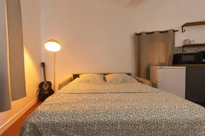 a bedroom with a bed and a guitar in it at Modern studio Le Renoir - Center of city - WiFi in Aix-en-Provence
