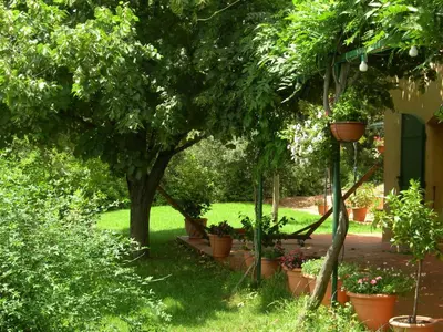a garden with potted plants and trees in a yard at Holiday House Teulon in Éguilles