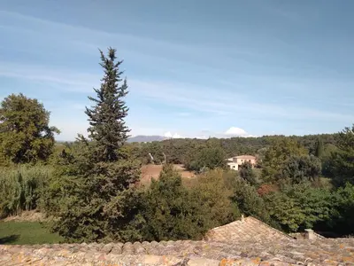 a tree on a hill with a house in the distance at Les feuillets de la Buire in Monteux