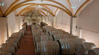 a row of wine barrels in a large room at Ventoux gîtes - appartements typiques avec vue sur le Mont Ventoux in Caromb