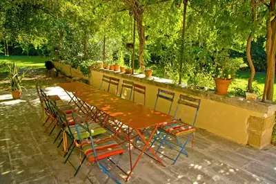 a wooden table and chairs with a dog in a garden at Mas Provençal - 300 m2 - 7 chambres in Cavaillon