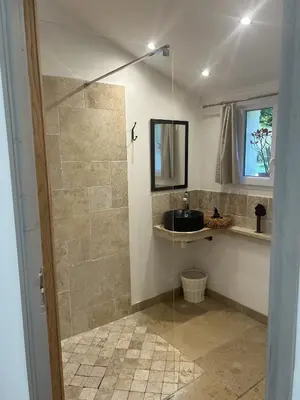 a bathroom with a shower with a sink and a mirror at Maison Satine in Noves