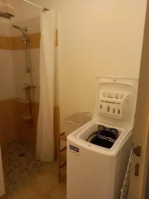 a washer and dryer in a bathroom with a shower at Hébergement tout confort au pied du Luberon in Cabrières-dʼAigues