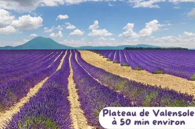 a purple lavender field with a mountain in the background at Maison cosy avec parking privé proche centre Aix en Provence in Aix-en-Provence