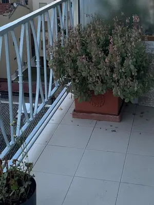 a potted plant sitting next to a stair case at Le Pavillon Etoile in Venelles