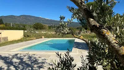 a swimming pool in a yard with a tree at Le Mas des Grillons, mas rénové entièrement climatisé avec piscine et vue Ventoux in Crillon-le-Brave