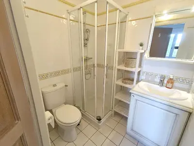 a bathroom with a shower and a toilet and a sink at Maison climatisée 6 pers. avec piscines au Domaine Pont Royal - FR-1-658-38 in Mallemort