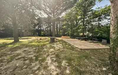 a backyard with a picnic table and trees at Amazing Home In Noves in Noves