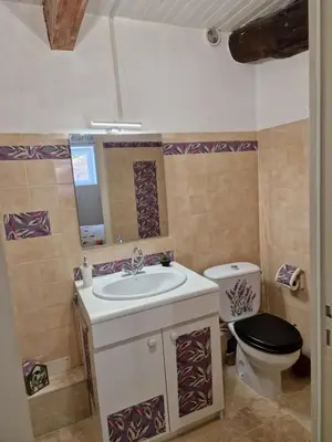 a bathroom with a sink and a toilet at Gîte Moulin de l'Anet in Goult
