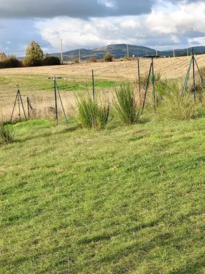 a field with a fence in the grass at Villa Sérénité Jardin et Calme in Revest-du-Bion