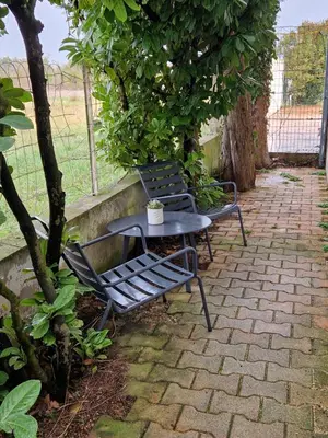 a table and two benches sitting next to a tree at C' Cosy in Entraigues-sur-la-Sorgue