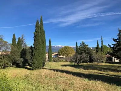 a field with cypress trees and a blue sky at La Cigale Bleue in Villes-sur-Auzon