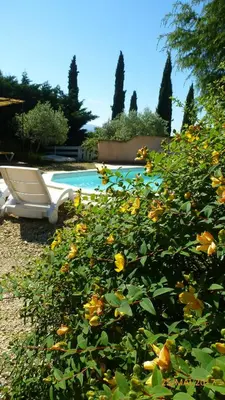 a bush with yellow flowers next to a swimming pool at Très charmant Mazet au coeur du Luberon in Roussillon