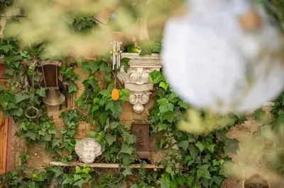 a ivy covered wall with a plant growing on it at La Cour Secrète - 2 Suites avec Balnéo privée in Carpentras