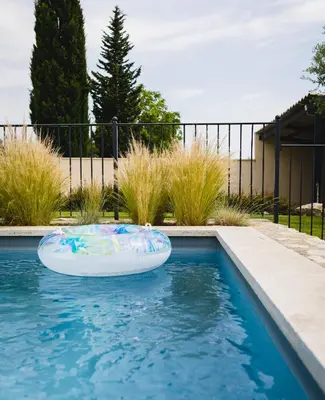 a pool with a frisbee in the water at Le mas des cerisiers - piscine chauffée in Caumont-sur-Durance