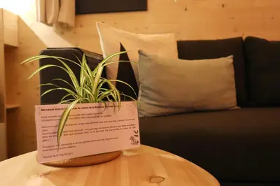 a potted plant sitting on top of a table at Tiny House Sainte Victoire - Brasserie Aix Pression in Rognes