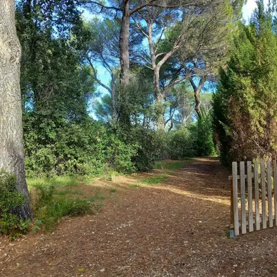 a wooden fence on a dirt road with trees at Les Demeures du Ventoux, un Bastidon en Provence in Aubignan
