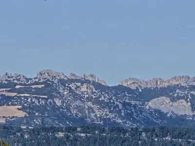 a group of mountains with trees in front of them at Les Demeures du Ventoux, un Bastidon en Provence in Aubignan