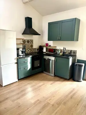 a kitchen with green cabinets and stainless steel appliances at Maison bord de rivière - Le Thor in Le Thor
