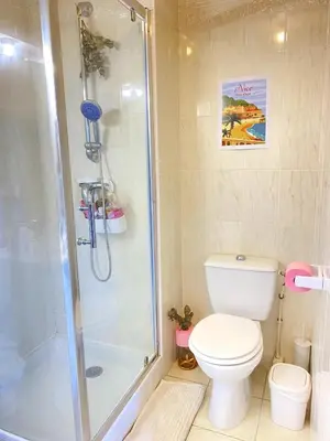 a bathroom with a shower and a toilet at Happy appartement in Aix-en-Provence
