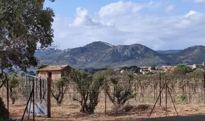 a view of a vineyard with mountains in the background at New Villa in Provence La Modèna in Modène