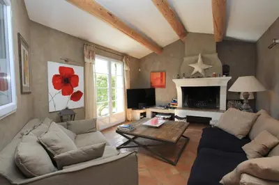 a living room with a couch and a fireplace at La Maison des Restanques in Cabrières-dʼAvignon