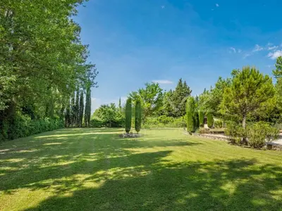 a large grassy yard with trees and bushes at Le Mas des Poètes in Saint-Andiol