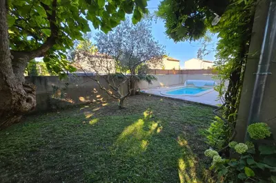 a backyard with a tree and a swimming pool at Lou Cabanon in LʼIsle-sur-la-Sorgue