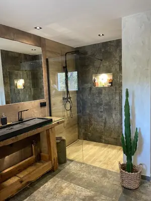 a bathroom with a sink and a shower with a cactus at Villa Luxury Lagoon - Aix en Provence in Ventabren