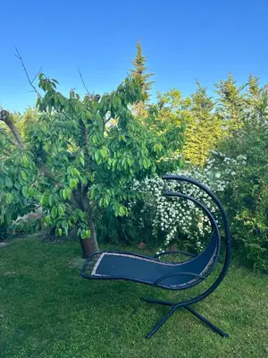 a black trampoline in the grass next to a tree at Les hirondelles Piscine privée climatisation billard calme 4 lits in LʼIsle-sur-la-Sorgue