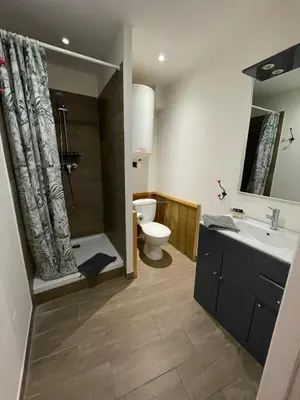 a bathroom with a toilet and a sink and a shower at Location grand studio centre ville Isle sur la sorgue in LʼIsle-sur-la-Sorgue