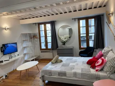 a bedroom with a large bed and a tv at Location studio centre ville Isle sur la sorgue in LʼIsle-sur-la-Sorgue