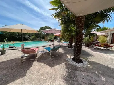 a pool with chairs and umbrellas and a palm tree at Le Mas de la Butte Blanche in Orgon