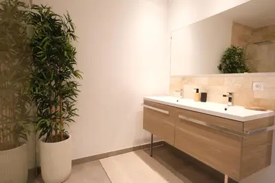 a bathroom with a sink and two potted plants at Holiday rental with pool in the Alpilles for 6 people in Plan-dʼOrgon