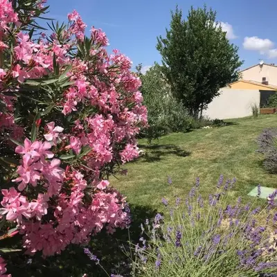 Holiday rental with pool in the Alpilles for 6 people