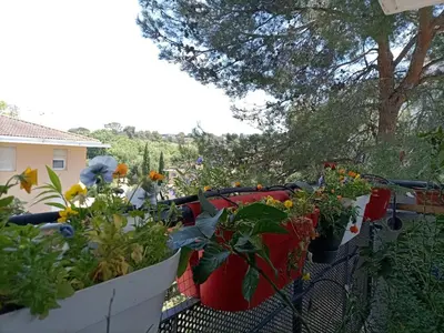 a garden with flowers and plants on a fence at T2 lumineux balcon, parking facile, climatisation, Wi-Fi in Aix-en-Provence