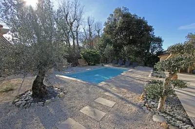 a swimming pool with two trees in a yard at Havre de paix avec piscine & spa - proche Ventoux in Saint-Didier