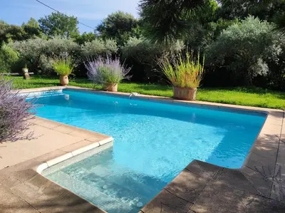 a swimming pool in a yard with potted plants at La Janneto in Carpentras