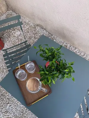 a wooden tray with a plant and two glasses at COZY LOFT - Maisonnette esprit loft in Saint-Cannat