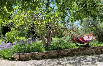 a hammock sitting in a garden next to a tree at La Bastide des Plâtrières in La Roque-sur-Pernes