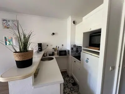 a kitchen with a counter with a plant on it at Appartement Domaine du Golf de Pont Royal in Mallemort