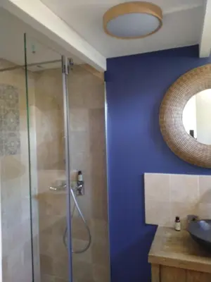 a bathroom with a shower with a sink and a mirror at Maison Maïtri in Lauris