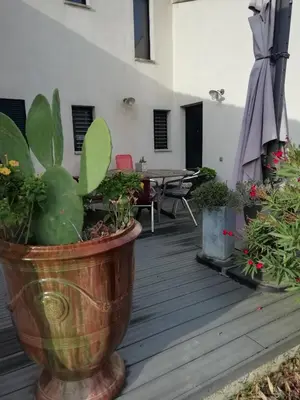 a potted plant in a pot on a wooden deck at Maison individuelle in Morières-lès-Avignon